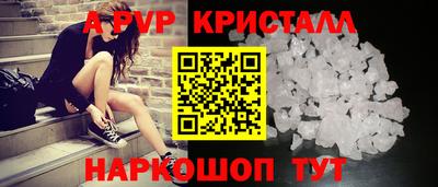 индика Нальчик