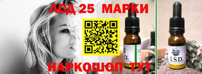 индика Нальчик