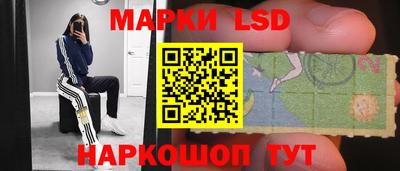 шишки Нарткала