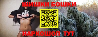индика Нальчик