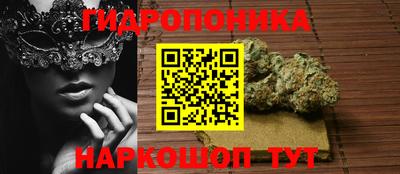 индика Нальчик