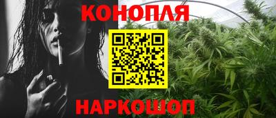 индика Нальчик