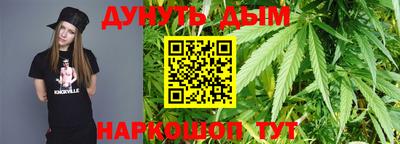 индика Нальчик