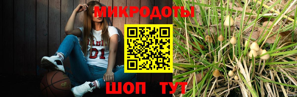 Галлюциногенные грибы GOLDEN TEACHER Хасавюрт