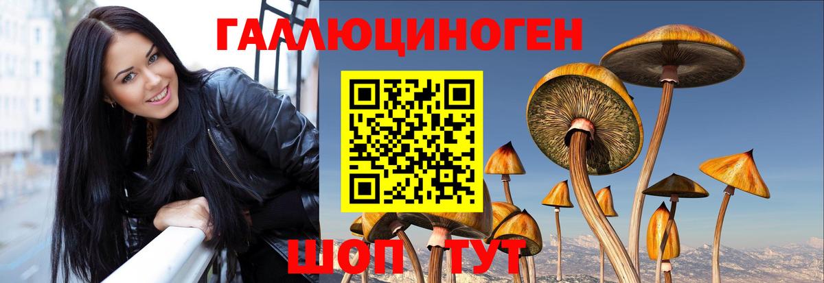 Хасавюрт  Псилоцибиновые грибы GOLDEN TEACHER  Вход с VPN 